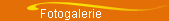 Fotogalerie